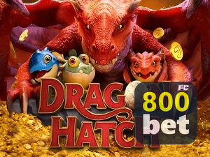 800BET PIX instantâneo Brasil - Depósito e saque em minutos 24/7